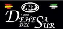 DS GRUPO DEHESA DEL SUR