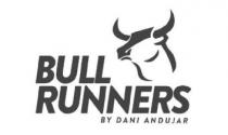BULL RUNNERS BY DANI ANDUJAR