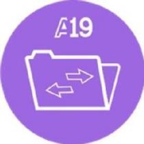 A19