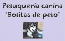 PELUQUERIA CANINA 