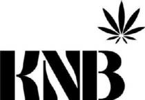 KNB Eyewear