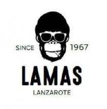 SINCE 1967 LAMAS LANZAROTE