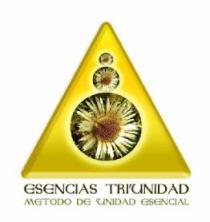 ESENCIAS TRIUNIDAD METODO DE UNIDAD ESENCIAL