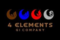 4 ELEMENTS GI COMPANY