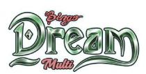 MULTI BINGO DREAM