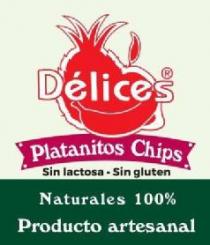 DÉLICES PLATANITOS CHIPS SIN LACTOSA SIN GLUTEN NATURALES 100% PRODUCTO ARTESANAL