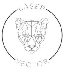 Laser Vector