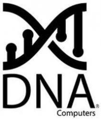 DNA Computers