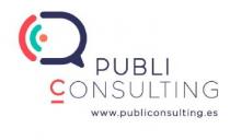 PUBLIC CONSULTING WWW.PUBLICONSULTING.ES