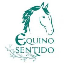 EQUINO SENTIDO