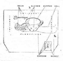 ELGORRIAGA