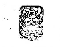 YOUTH'S LABEL