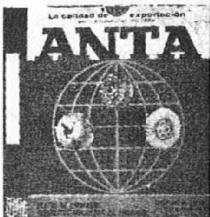 ANTA