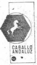 CABALLO ANDALUZ
