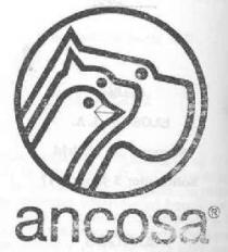 ANCORA