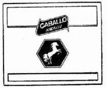 CABALLO ANDALUZ