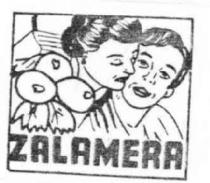 ZALAMERA