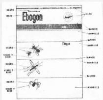  EBOGON