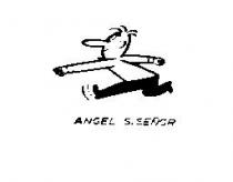 ANGEL SISEÑOR