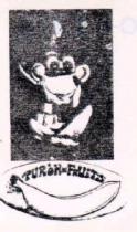 TURON-FRUITS
