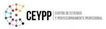 CEYPP CENTRO DE ESTUDIOS Y PERFECCIONAMIENTO PROFESIONAL