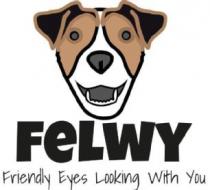 FELWY Friendly Eyes Looking With You