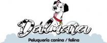  Dálmata Peluquería canina / felina