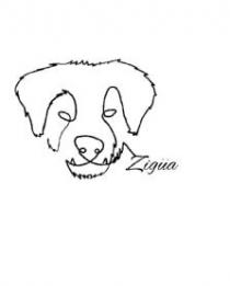Zigüa