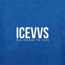 ICEVVS