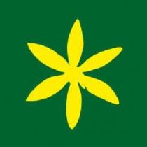 LAS COSICAS DE PAMPLONA IRUÑA