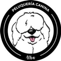 ALBA PELUQUERIA CANINA