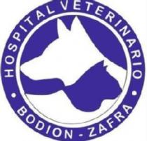 HOSPITAL VETERINARIO BODIÓN-ZAFRA