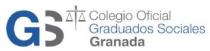 GS Colegio Oficial Graduados Sociales Granada