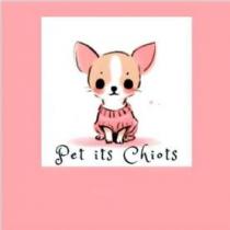 Pet its Chiots