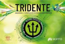 TRIDENTE AMINOÁCIDOS BIOFERTILIZANTE ORGÁNICO DE ÚLTIMA GENERACIÓN ECOLÓGICO REDUCE EL APORTE DE ABONADO. AUMENTA EL VIGOR DE LA PLANTA