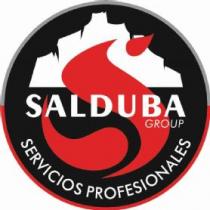 SALDUBA GROUP, SERVICIOS PROFESIONALES
