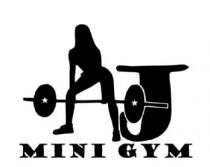 AJ MINI GYM