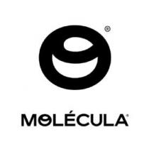 MOLÉCULA