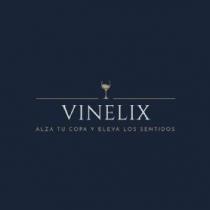 VINELIX ALZA TU COPA Y ELEVA LOS SENTIDOS