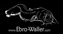 www.Ebro-Waller.com