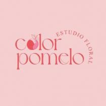 COLOR POMELO ESTUDIO FLORAL