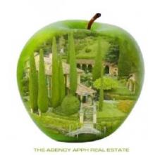THE AGENCY APPH REAL ESTATE