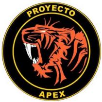 PROYECTO APEX