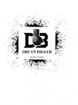 DREAM BIGGER