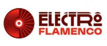 ELECTRO FLAMENCO