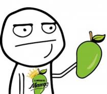 EL IMPERIO DEL MANGO