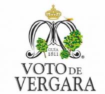 GUIA 1811 VOTO DE VERGARA