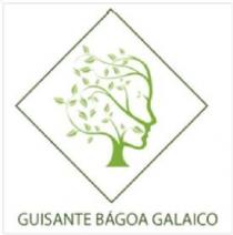 GUISANTE BÁGOA GALAICO