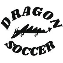 DRAGON SOCCER