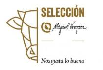 SELECCIÓN MIGUEL VERGARA NOS GUSTA LO BUENO